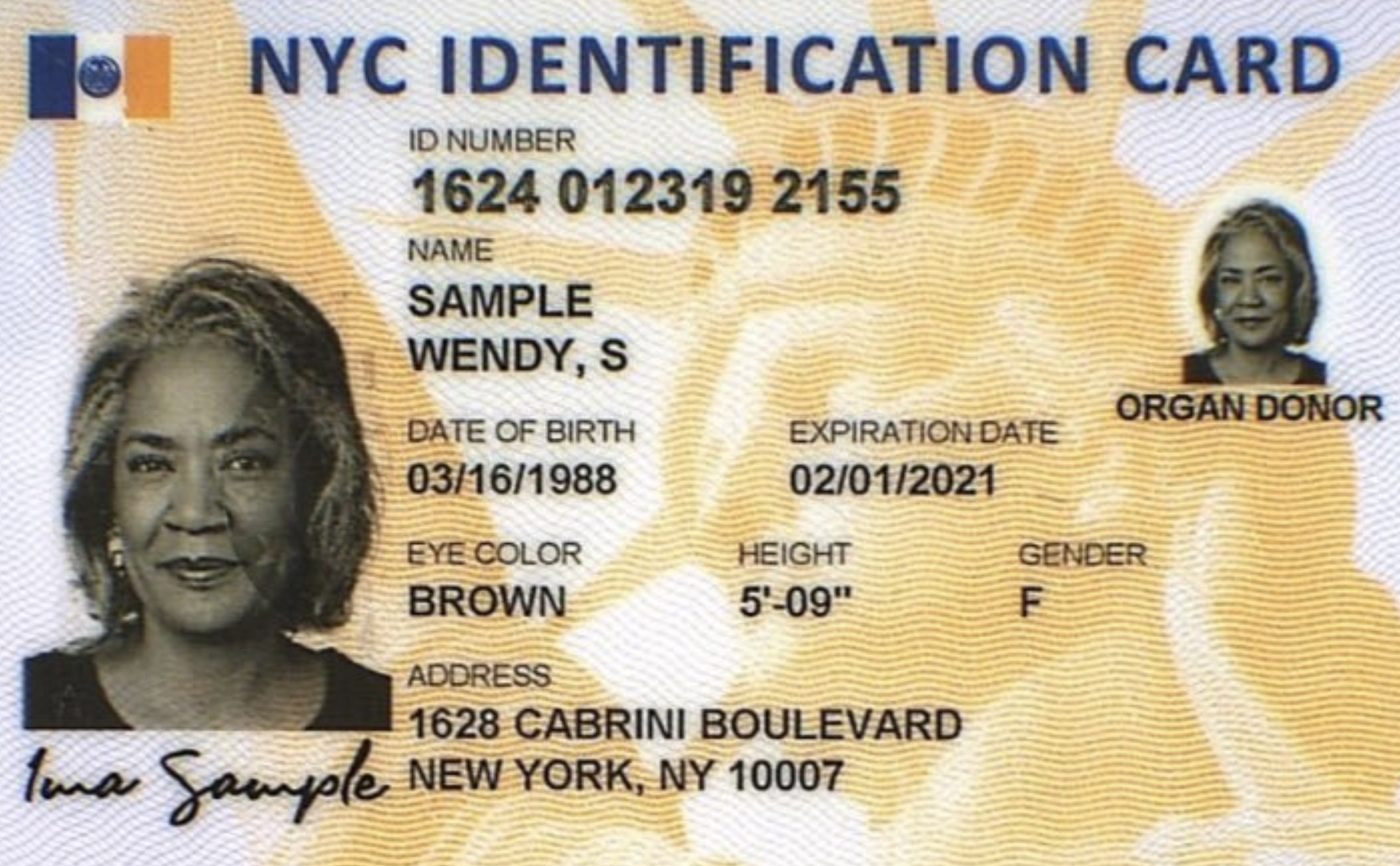 Como sacar el ID de New York por internet