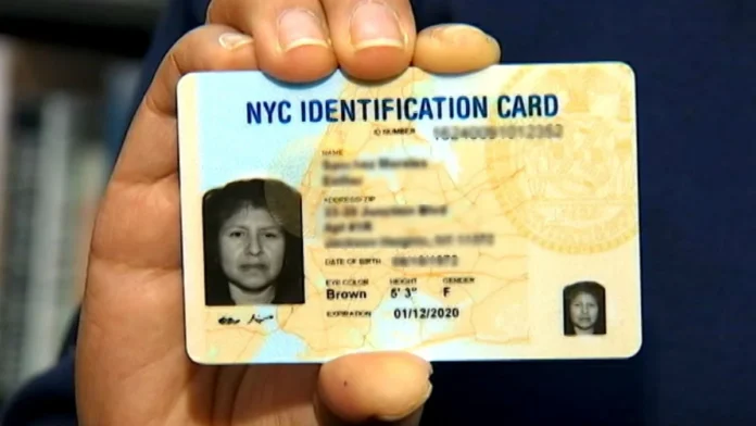 Como sacar el ID de New York por internet