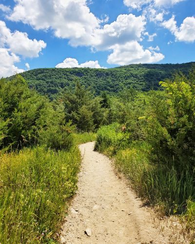 Los 10 mejores parques en New Jersey: una guía para amantes de la naturaleza