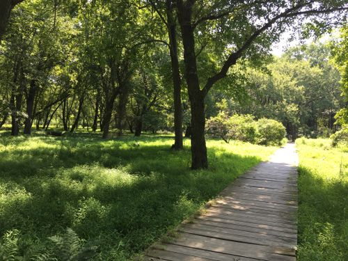 Los 10 mejores parques en New Jersey: una guía para amantes de la naturaleza