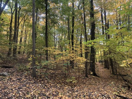Los 10 mejores parques en New Jersey: una guía para amantes de la naturaleza