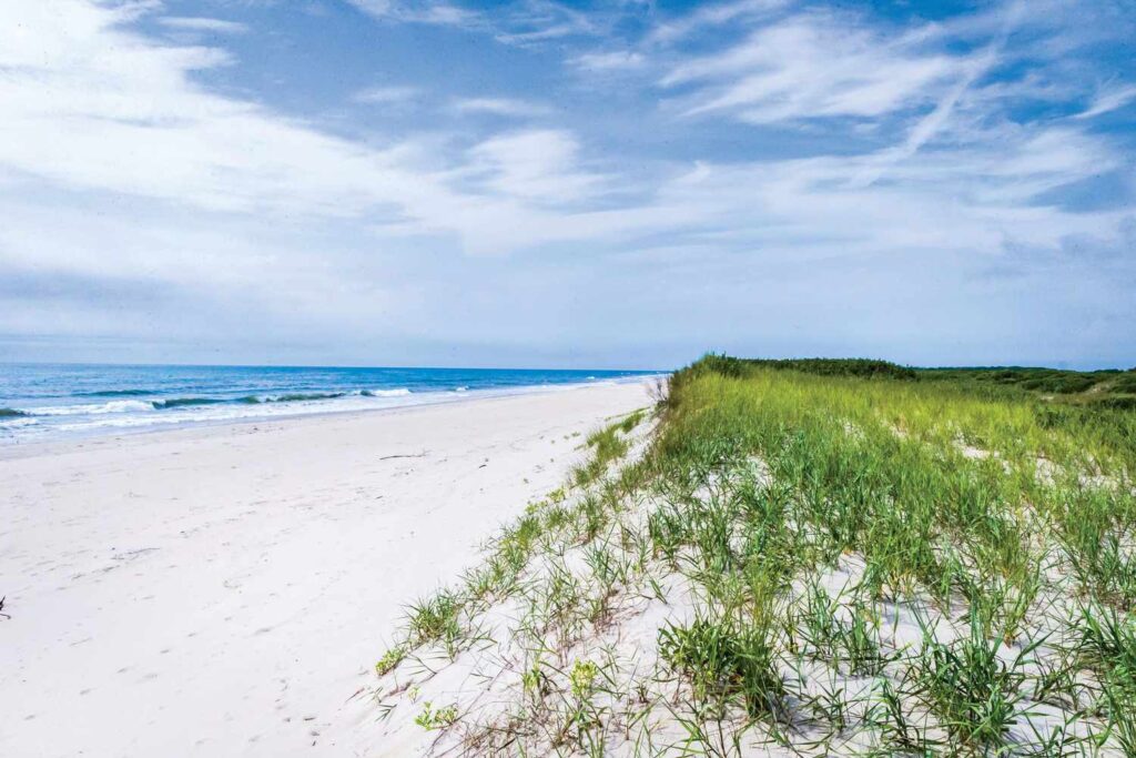 Las 10 mejores playas de Virginia para ir en el verano