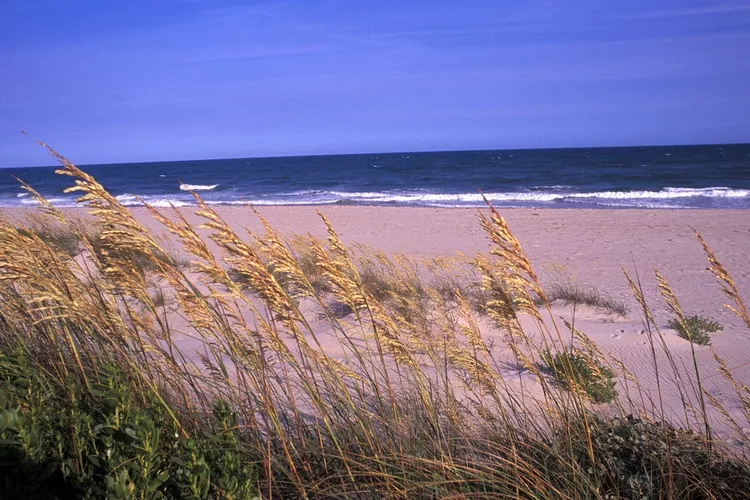 Las 16 Mejores Playas en North Carolina