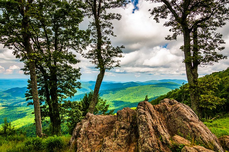 TOP 18 Lugares Turísticos en Virginia que no te puedes perder