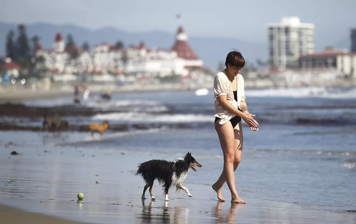 Las 10 mejores playas de San Diego 