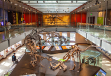 Los 21 mejores museos en Los Ángeles, California Museos en Los Angeles, California