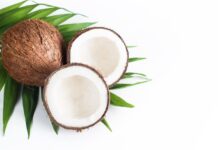 El coco: Un tesoro tropical para tu salud
